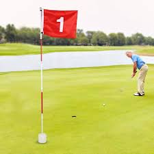 Conjunto de Mini Golf con Bandera y Palos