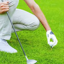 PW TOOLS: Soporte Reutilizable de Golf con Almohadilla de Goma