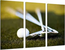 Cuadro Fotográfico XXL de Golf en Césped