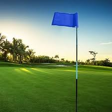 Juego de 5 Banderas de Nylon para Golf - 18x12cm