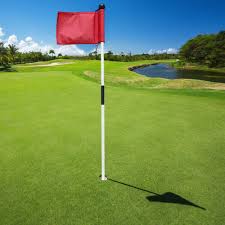 Mástil de Bandera de Golf Portátil y Resistente
