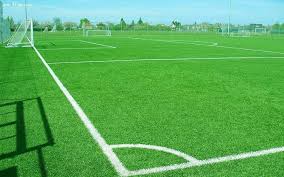 Semillas de Césped para Golf y Fútbol